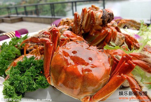 德国大闸蟹江河横行 “八脚大王”臭名昭著惹人忧(图)